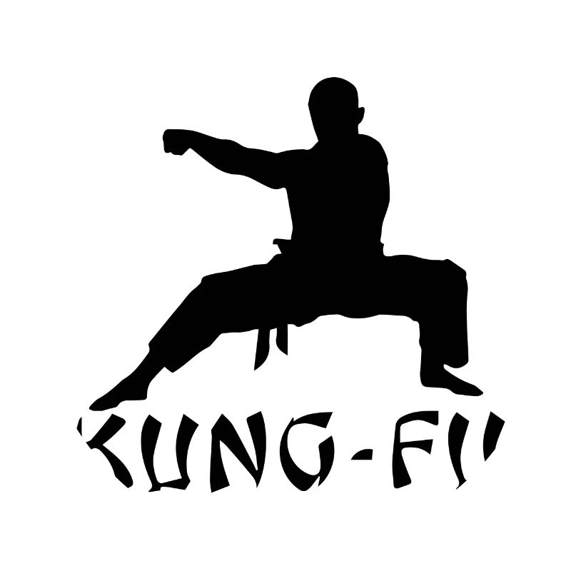 kung fu geschenkshirt