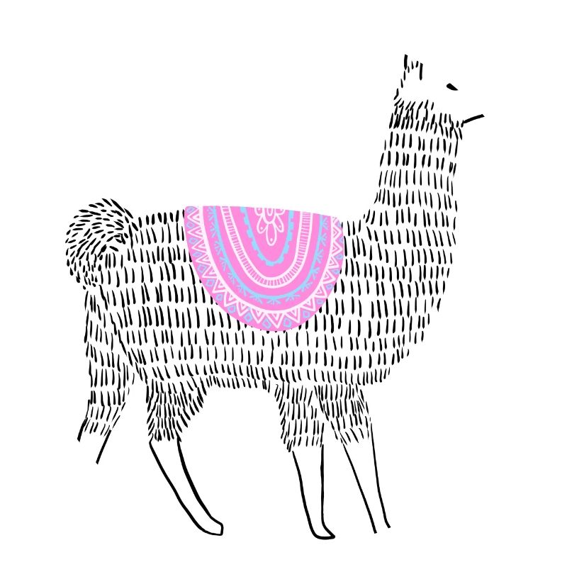 Boho Lama