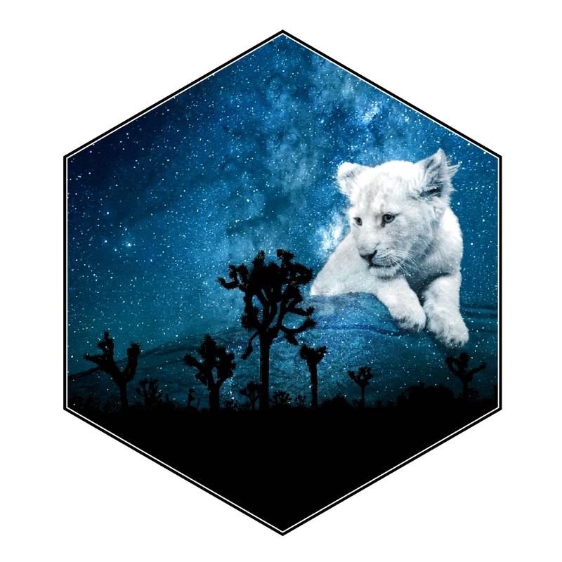 lion cub