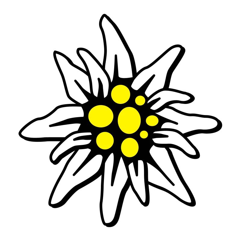Edelweiss