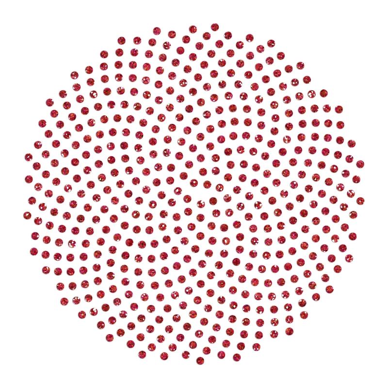 Fibonacci Mathematik Sonnenblume Phi Spirale Mathe