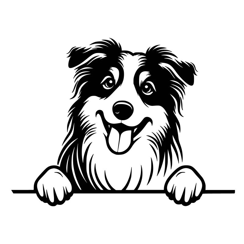 Peeking Australian Shepherd Vector