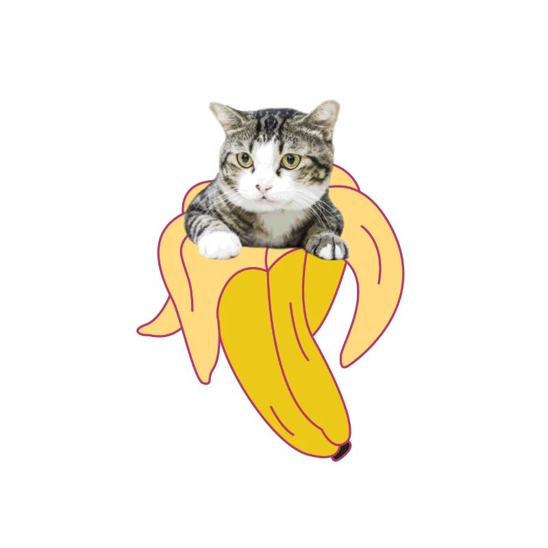 Chat, chat, banane, chaton, miaou, chat, chat, chat, dame