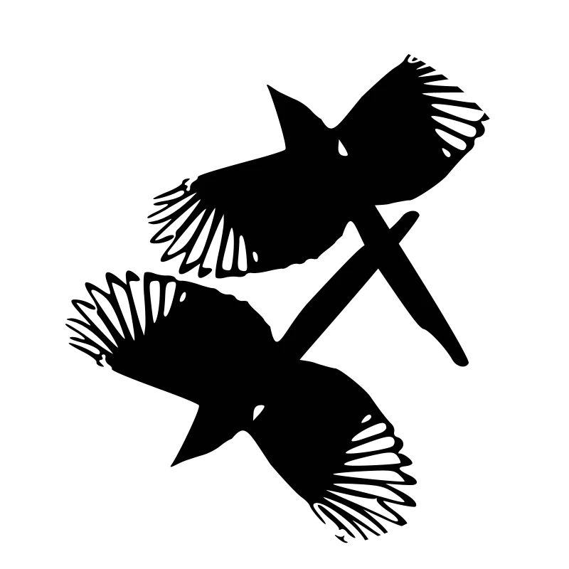 Magpie birds
