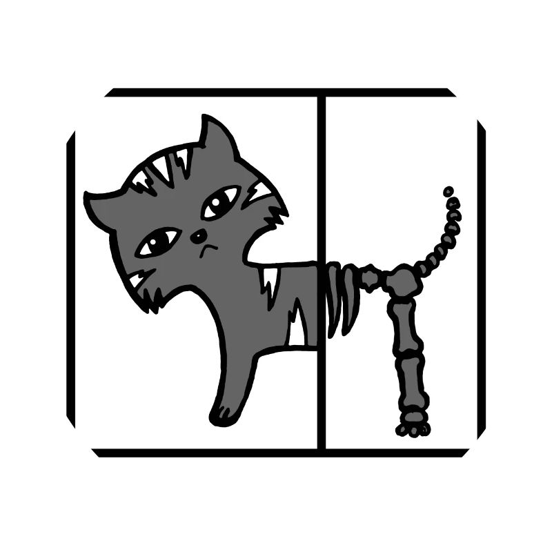 La physique du chat de Schroederer Cat Schrödinger