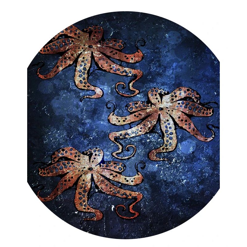Octopus octopus