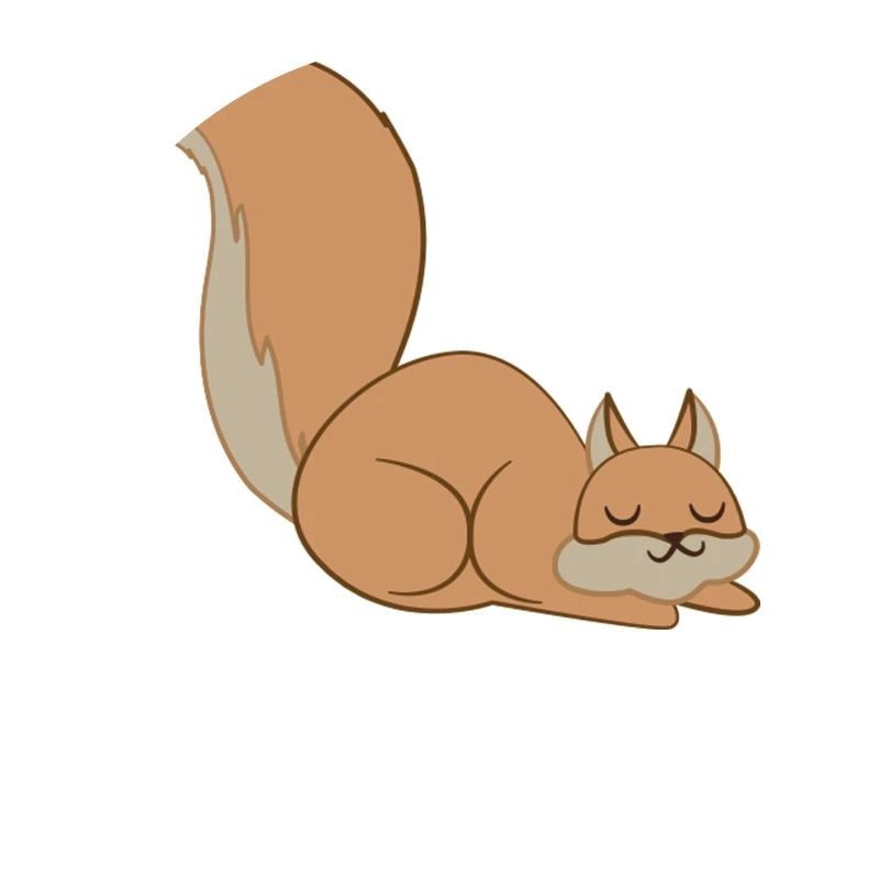 Squirrel - squirrel fan - sleeping