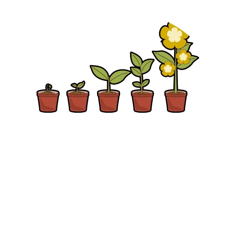 Evolution einer Blumen im Topf blühend