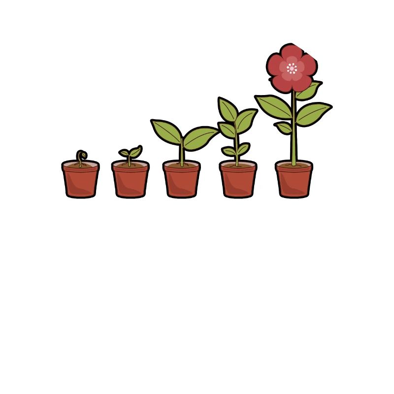 Evolution einer Blumen im Topf blühend