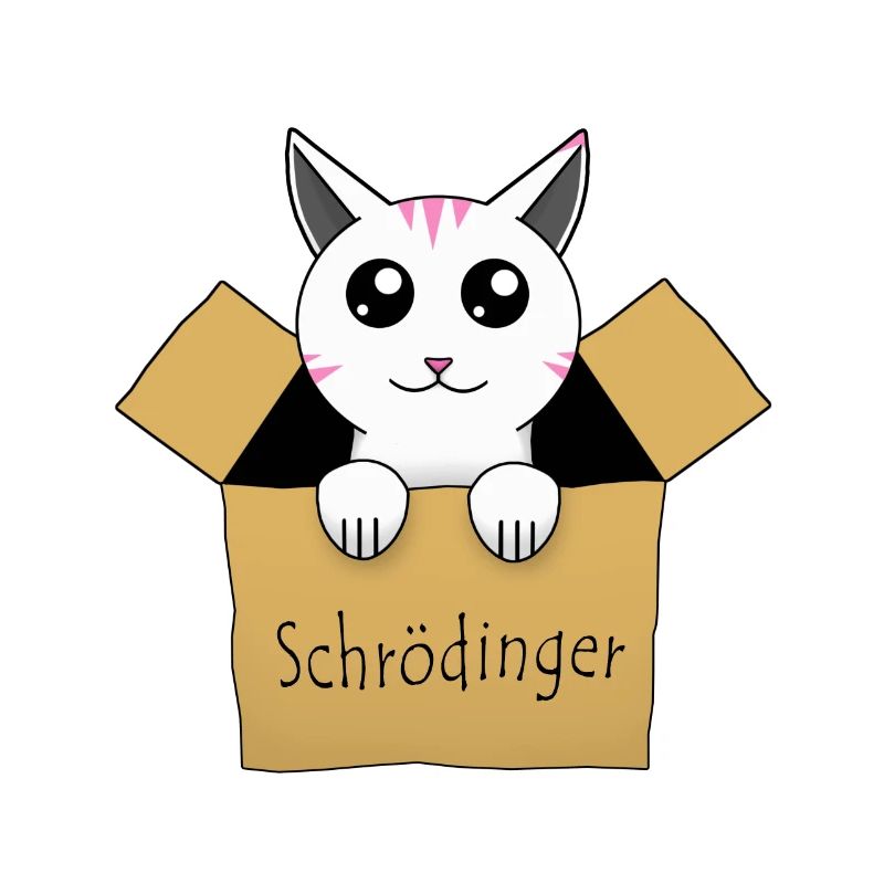 Schrödingers Katze in einer Kiste