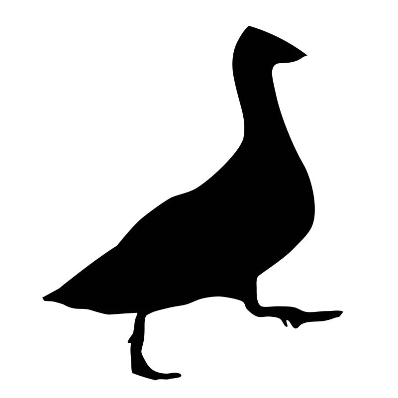 Duck (super cheap!)