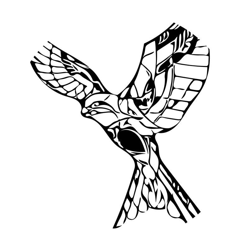Elegant flying hawk