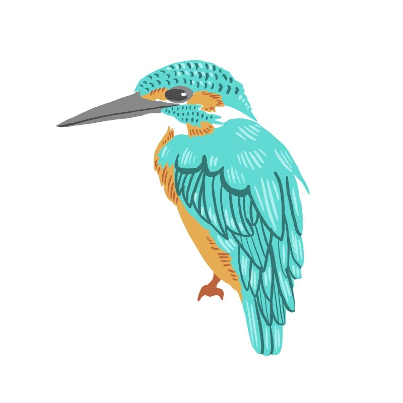kingfisher