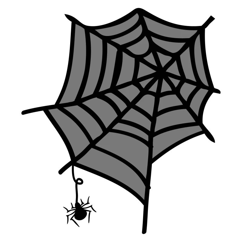 Spider web insect
