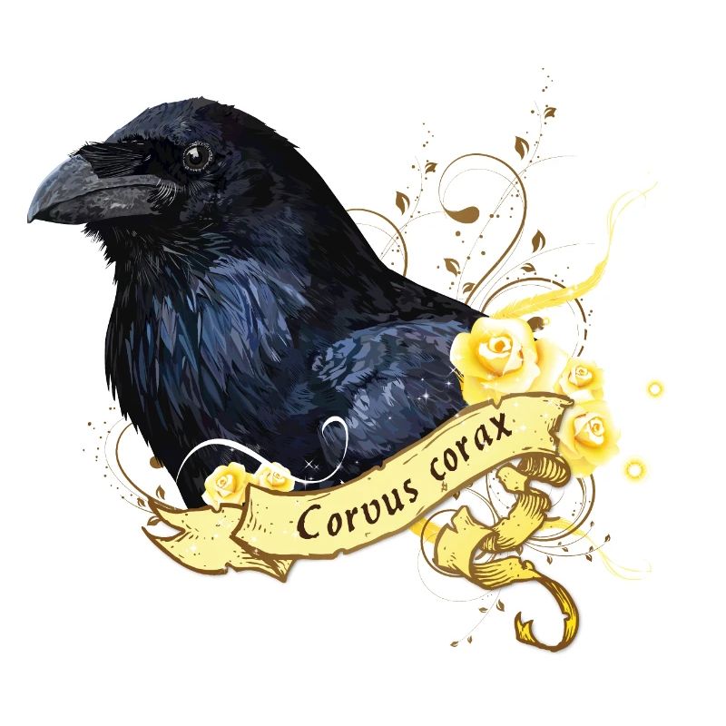 Corbeau