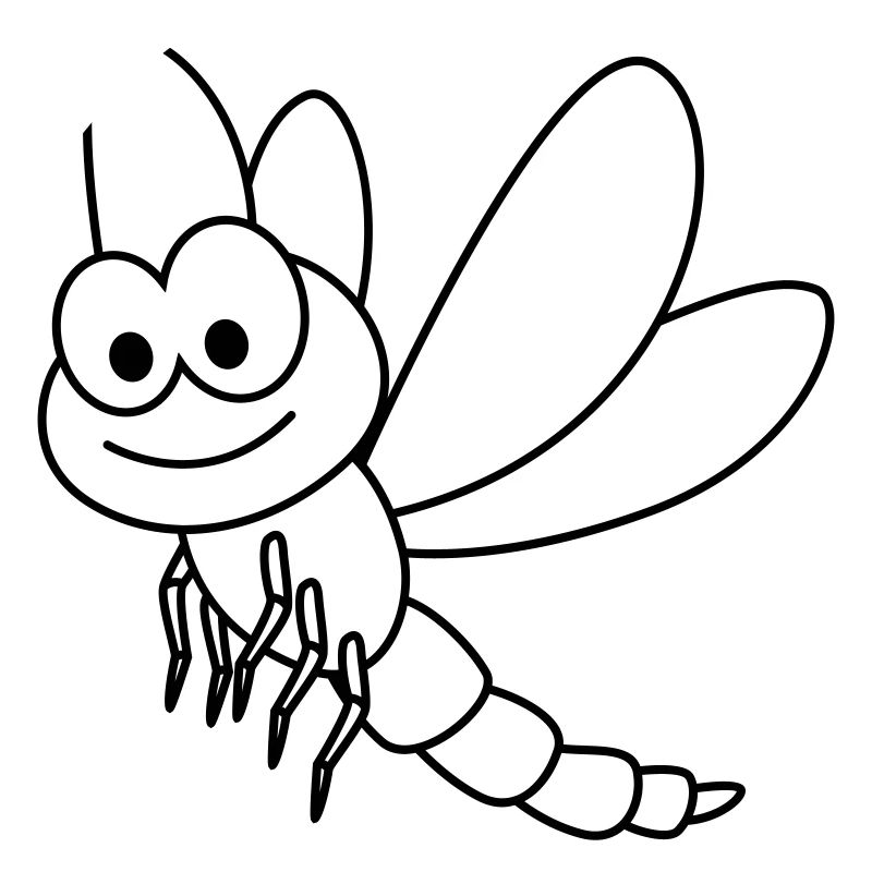 Libellule dragon fly