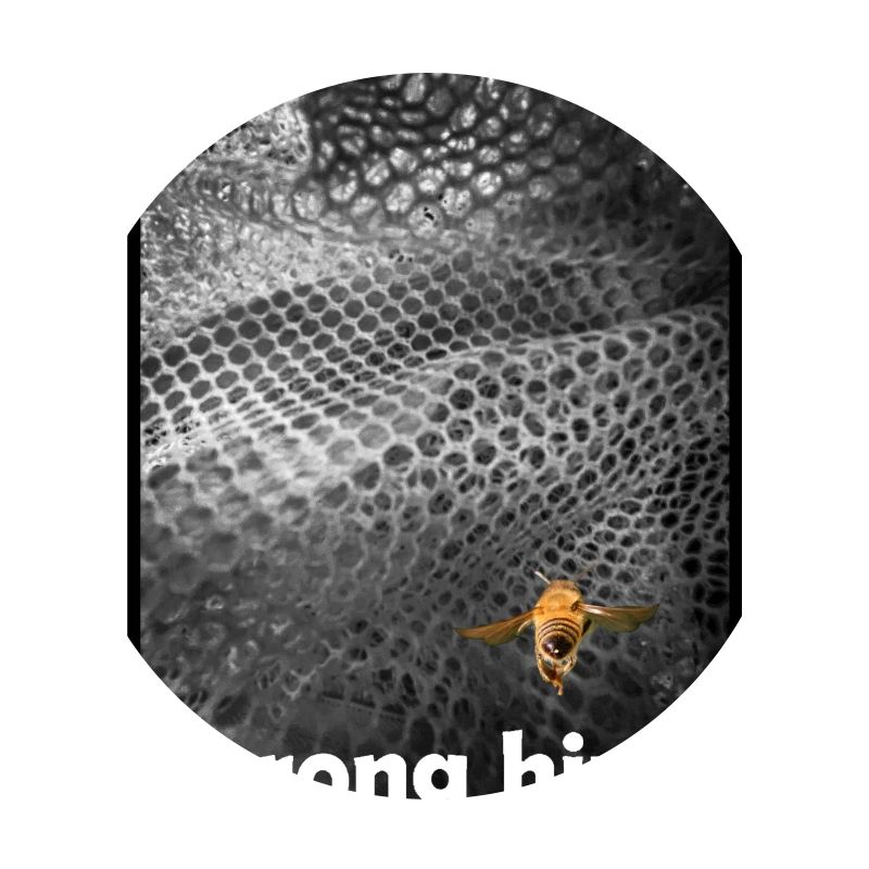Wrong Hive