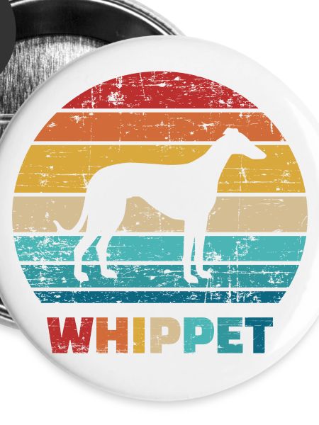 Whippet