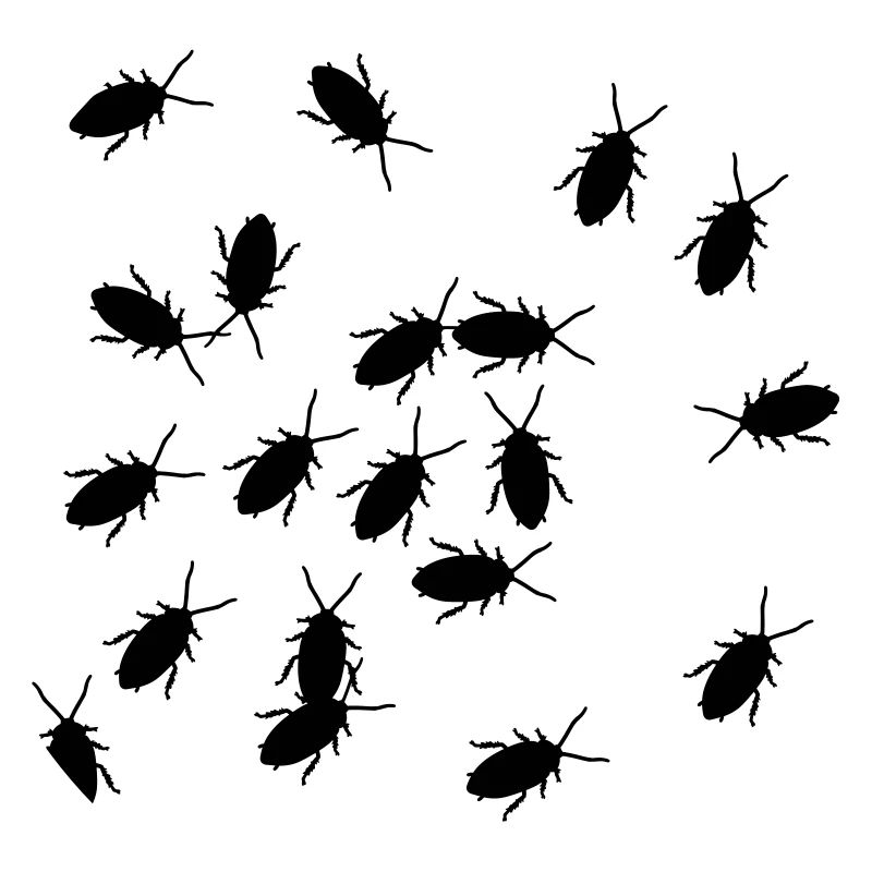 cockroach
