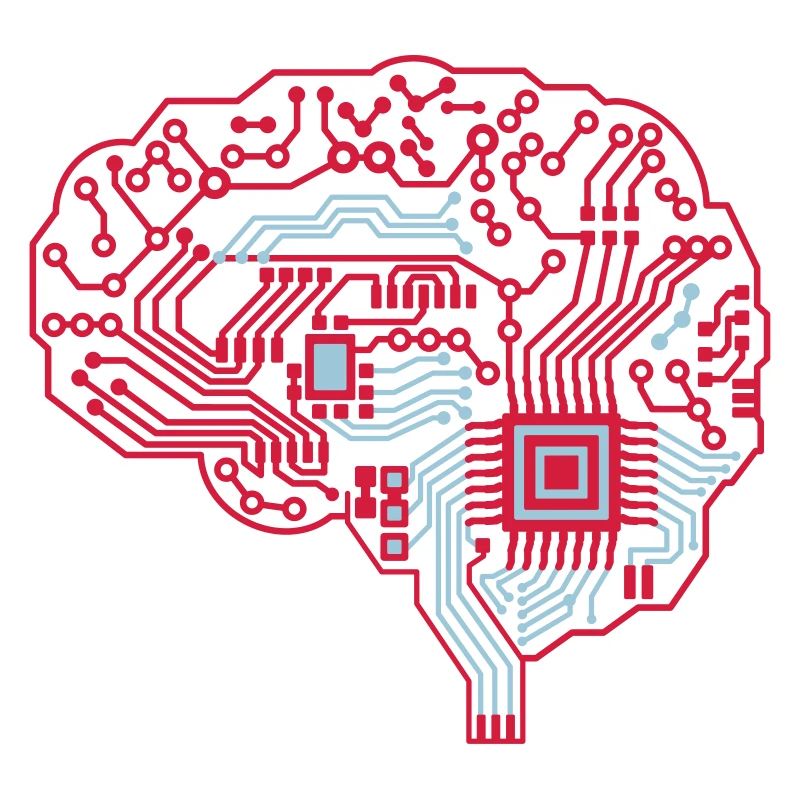 Brain