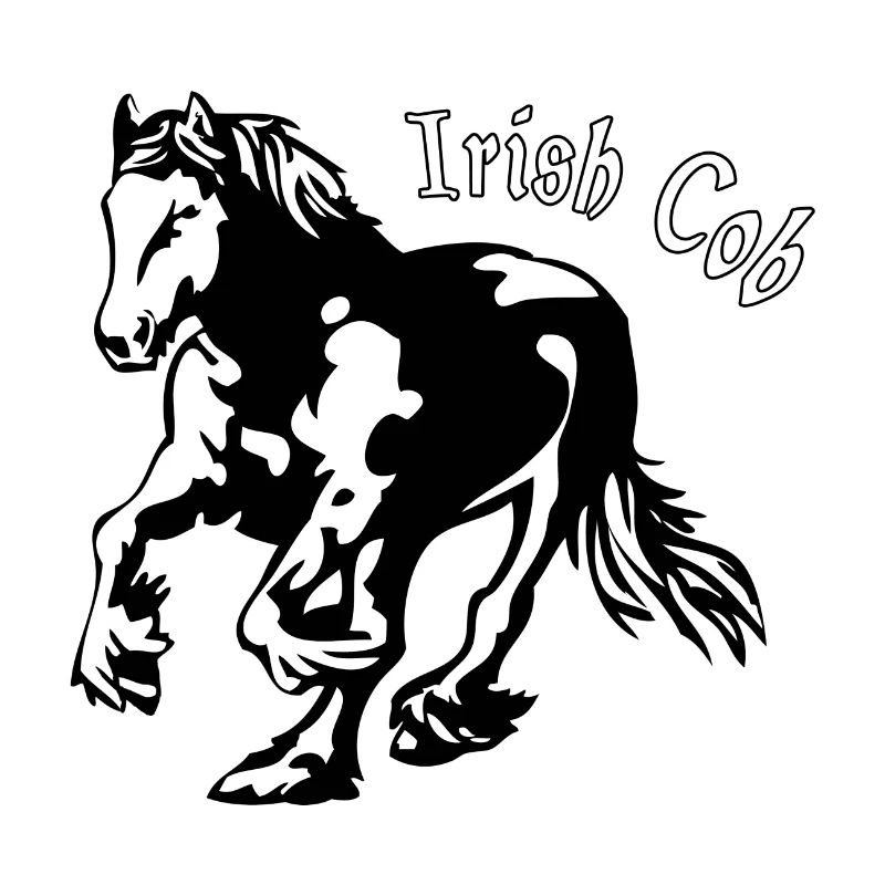 Irish Cob - Irischer Tinker