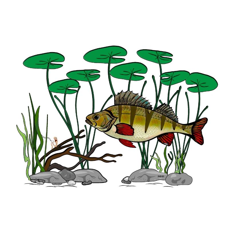 Pêche à la perche