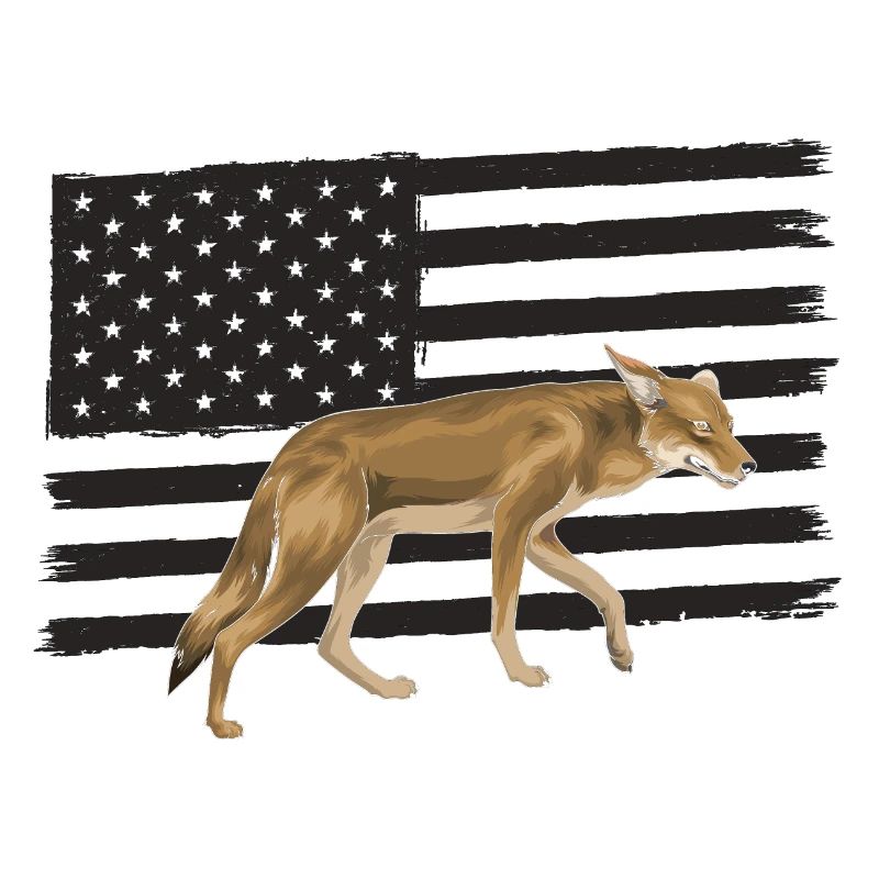 Capture de coyotes et conception de chasseur de coyotes