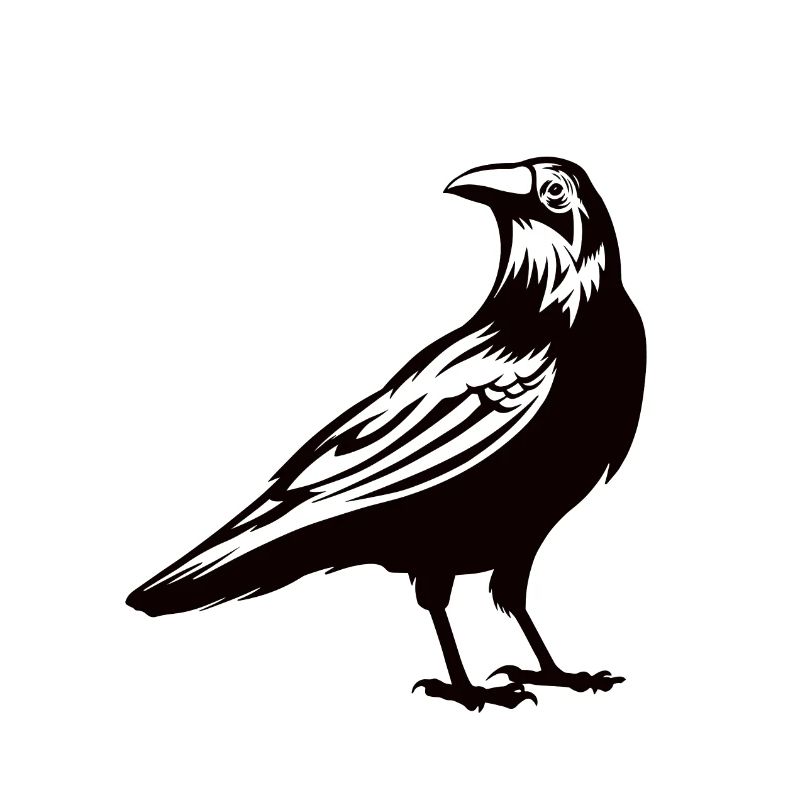 Raven Crow Bird