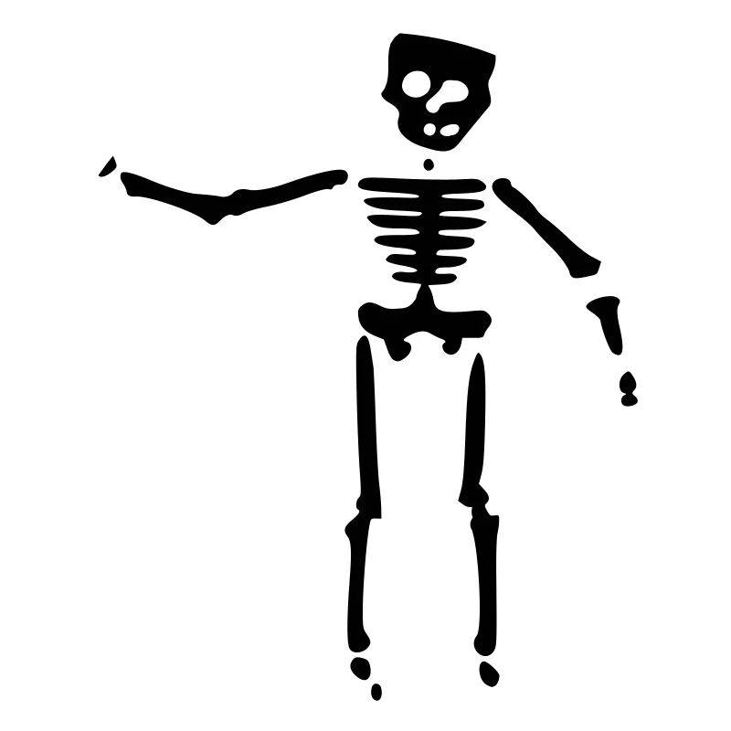 skull bones