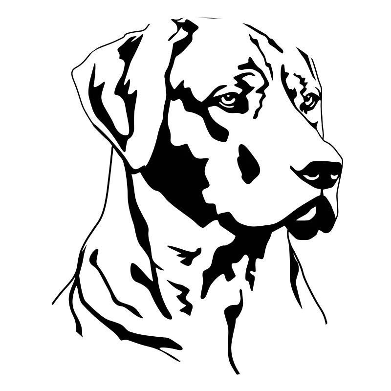 Rhodesian Ridgeback head