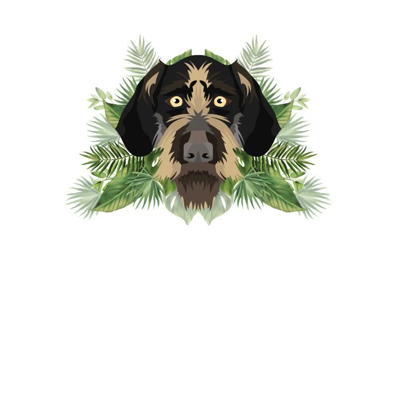 Tropical Deutsch Drahthaar