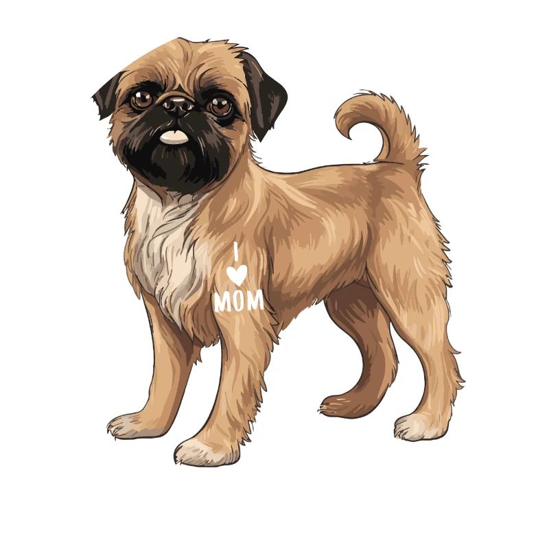 Chez moi, c’est mon Griffon de Bruxelles