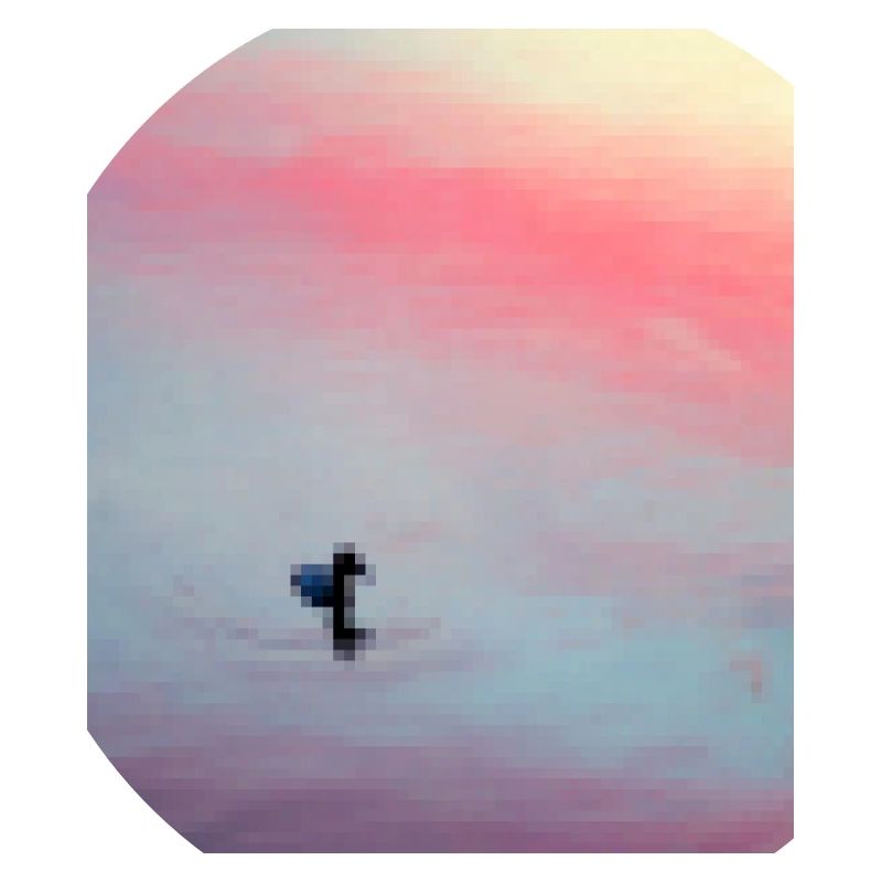 pixelated duck
