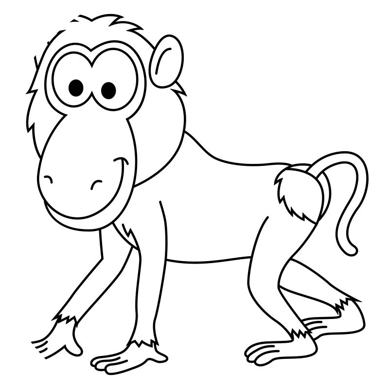 Monkey affe comic