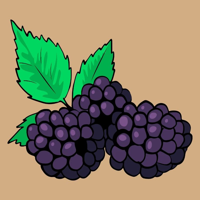 Mûres