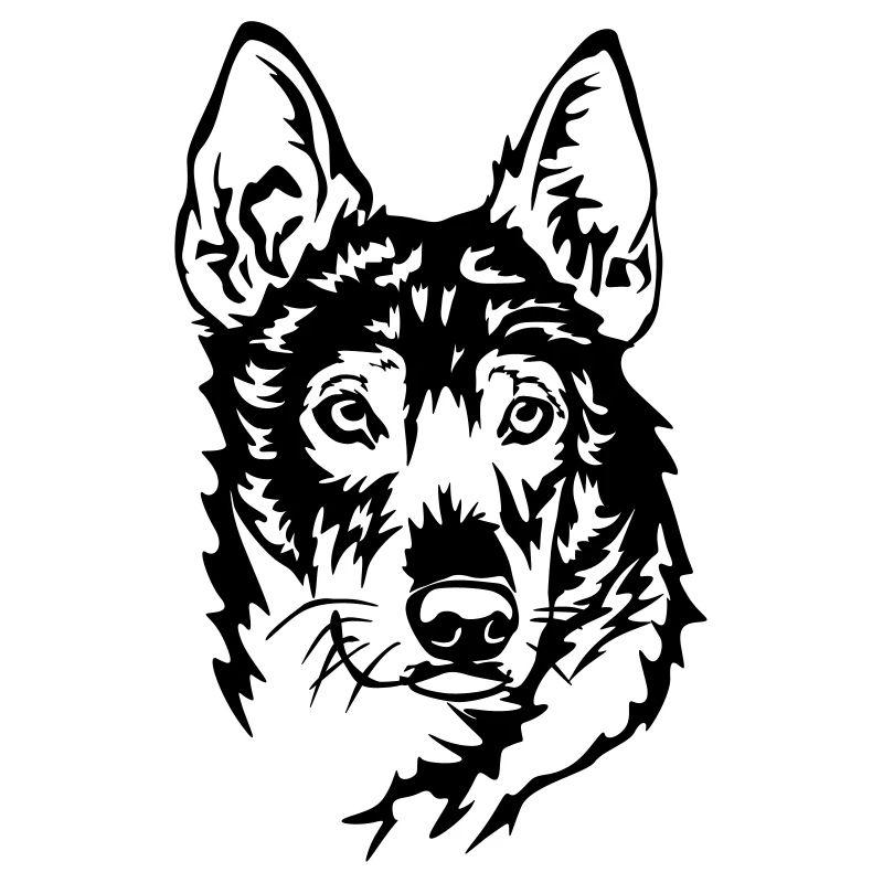 Alaskan Husky Head