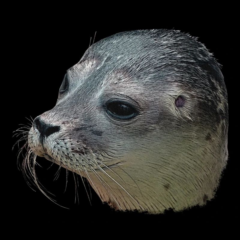 Canvas look seal head, designs for bathroom