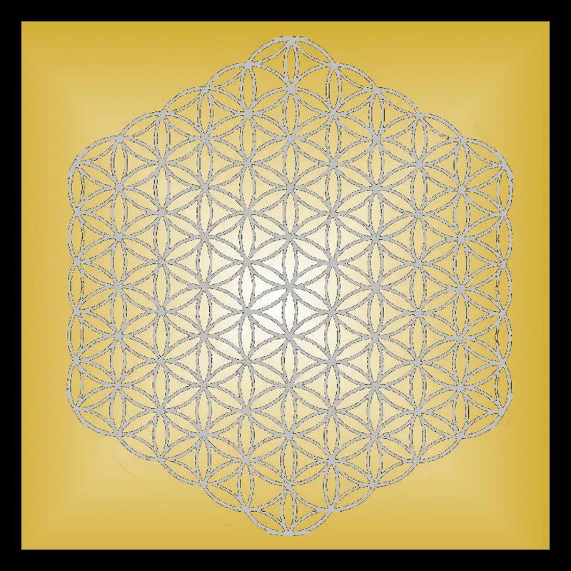 Blume des Lebens silber - 5. Dimension