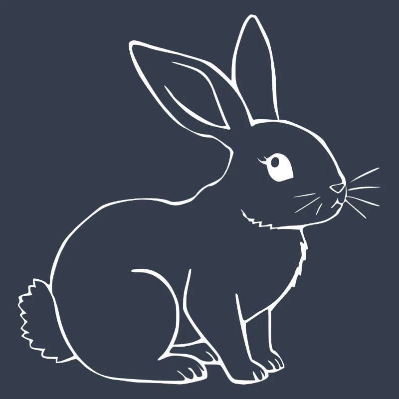 Rabbit Bunny Bunny Dwarf Rabbit Gift