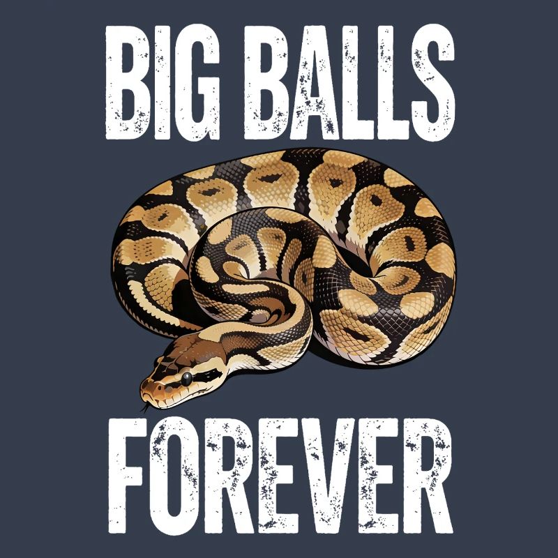 Python roi Serpents Amateurs de terrarium Python