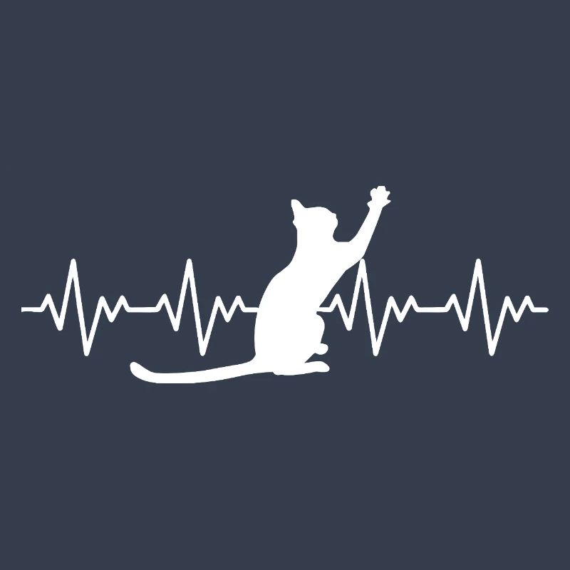 Katze EKG Herzfrequenz Herzschlag