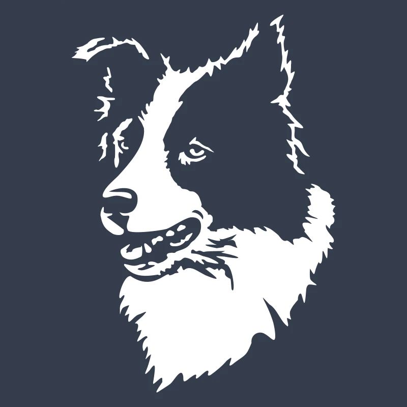 Border Collie sans texte