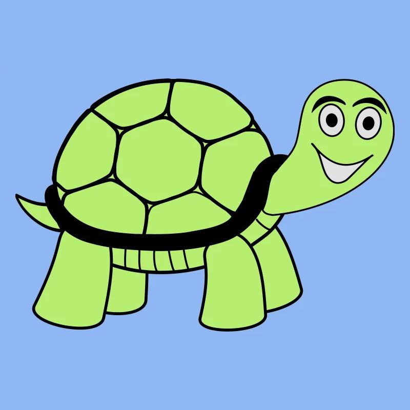 turtle
