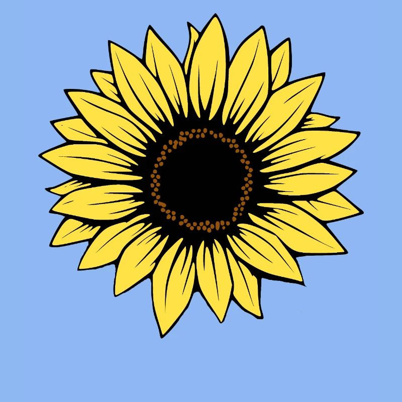 Fleur Fleur Jaune Fleurs Fleur Tournesol Fleur