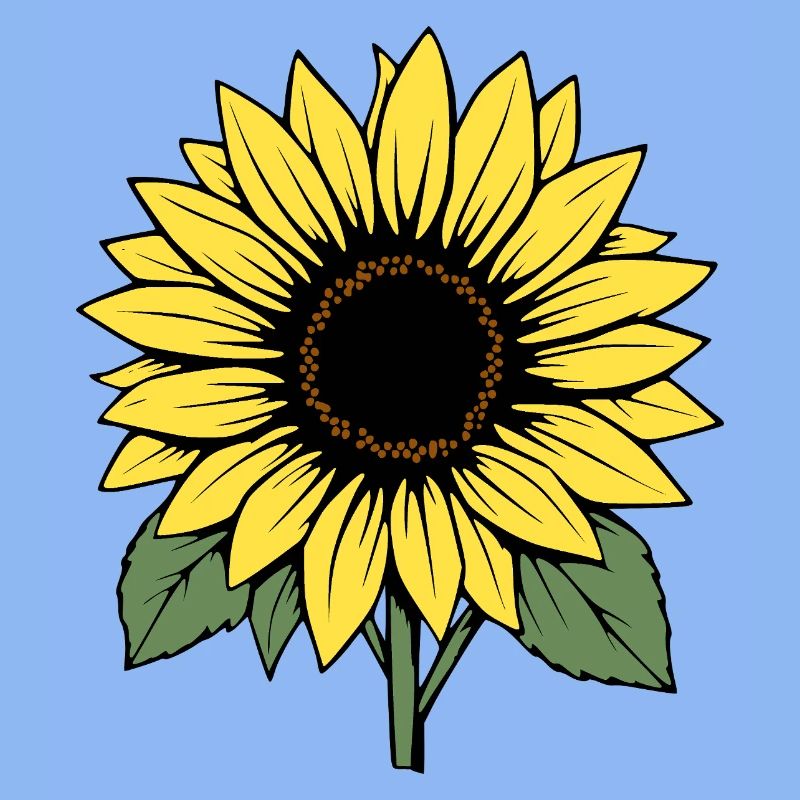 Fleur Fleur Jaune Fleurs Fleur Tournesol Fleur
