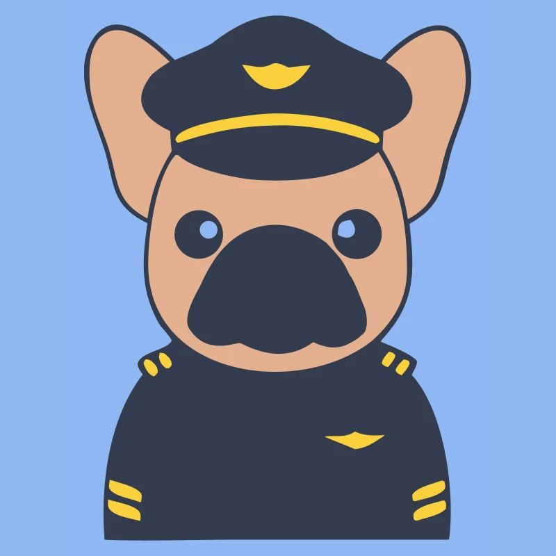 Frenchie Pilot Captain Uniform