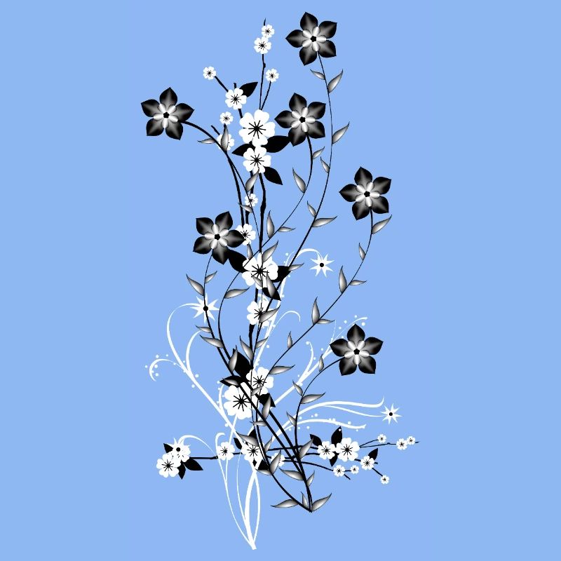 Fleurs éclatantes de contraste absolu
