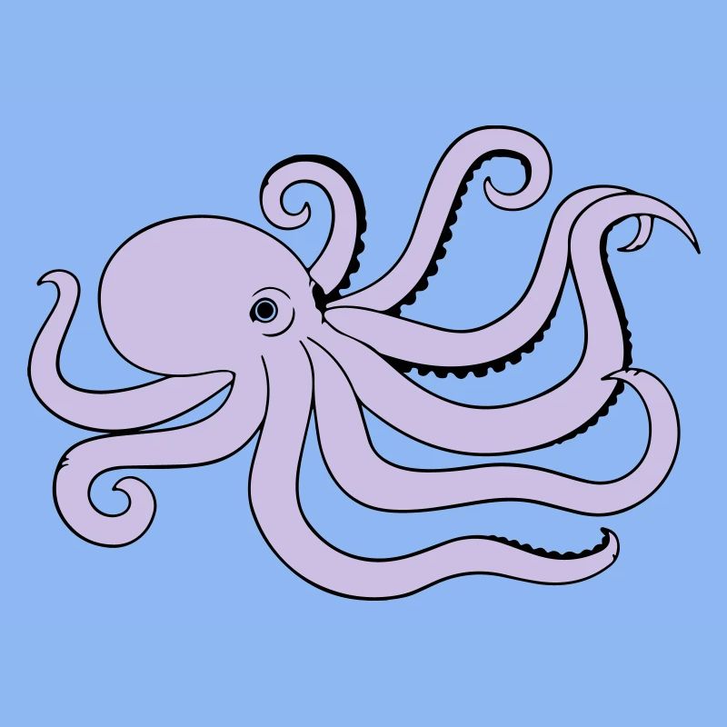 octopus