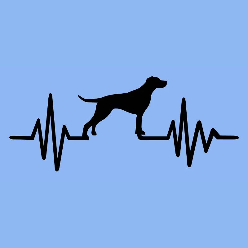 English Pointer