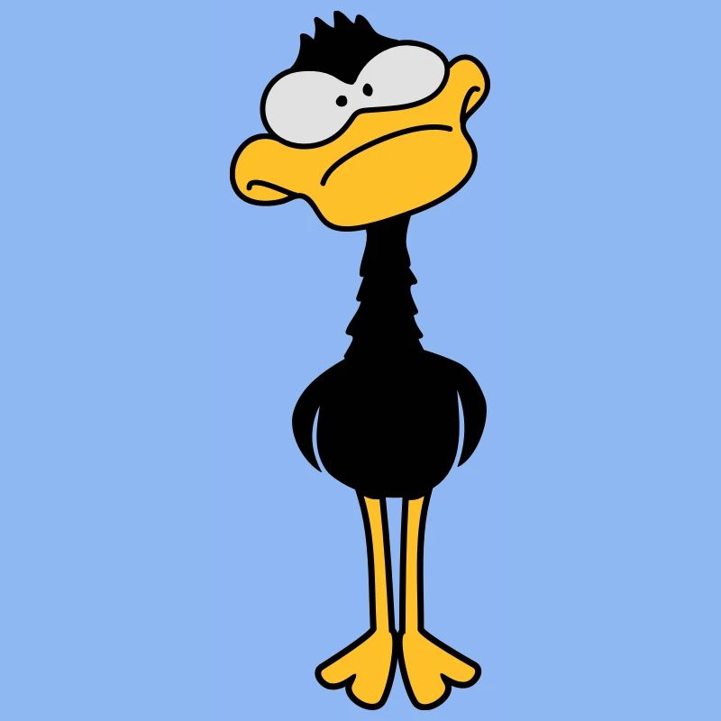Funny Duck
